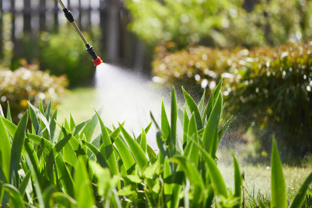 24/7 Emergency Termite Control experts in South Coatesville, PA