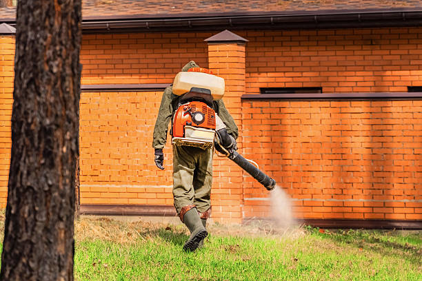 Trusted Bed Bug Control service in South Coatesville, PA - Nex Pest Control